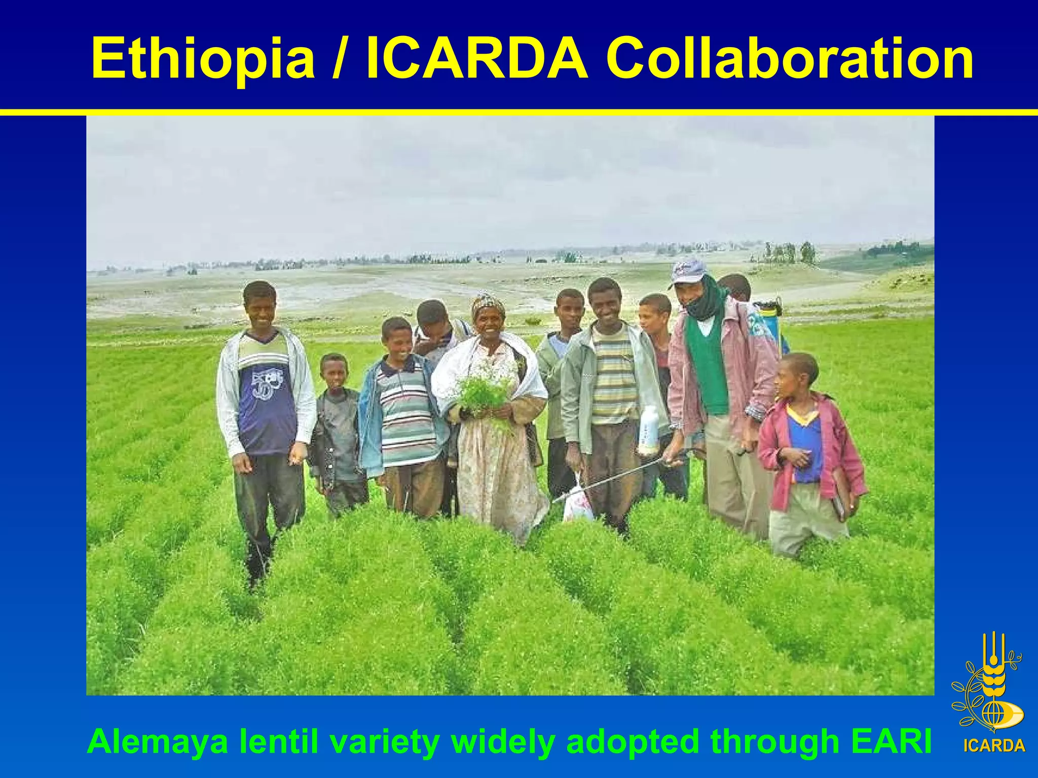 Ethiopia / ICARDA Collaboration Alemaya lentil variety widely adopted through EARI  
