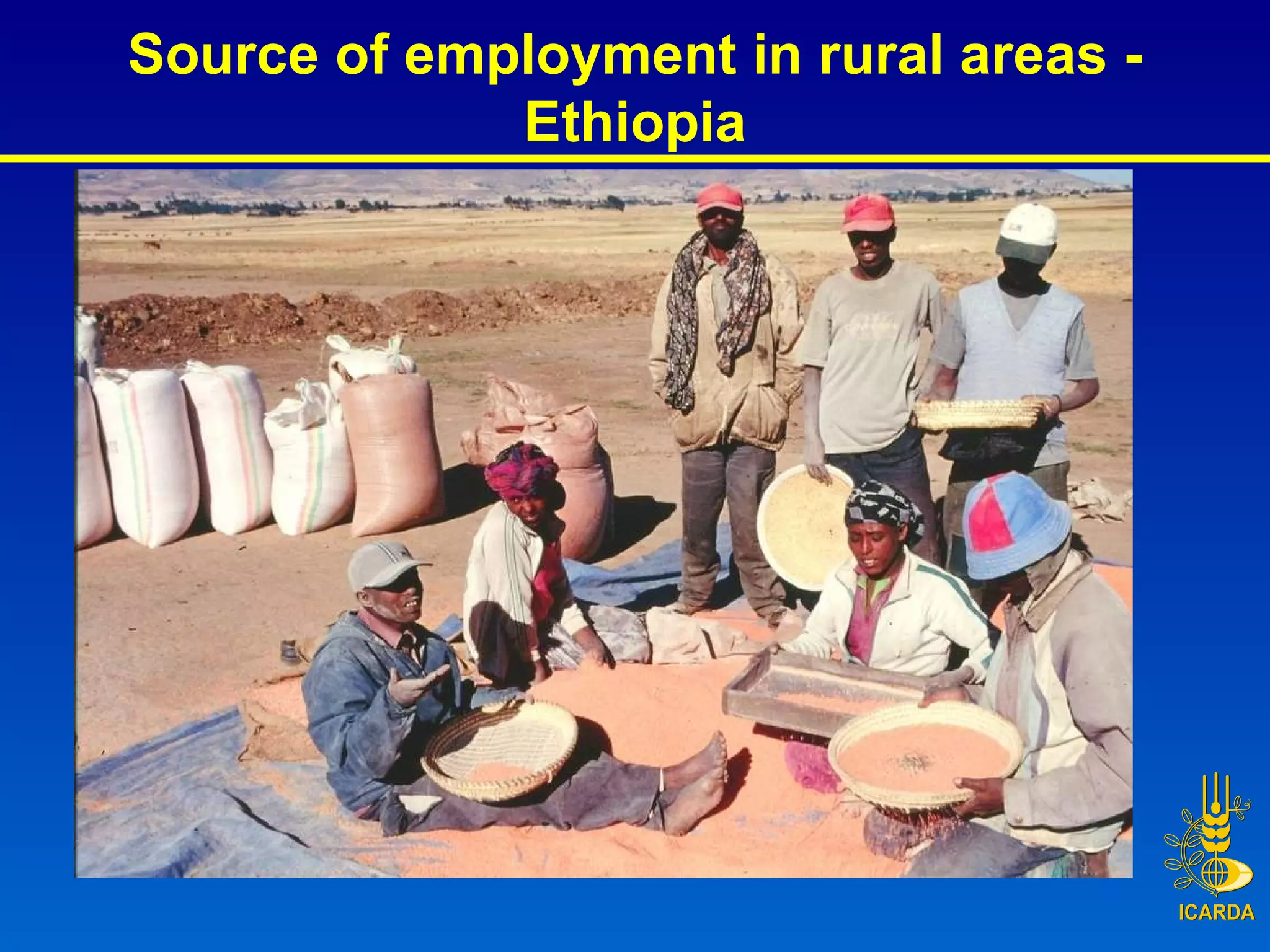Source of employment in rural areas - Ethiopia 