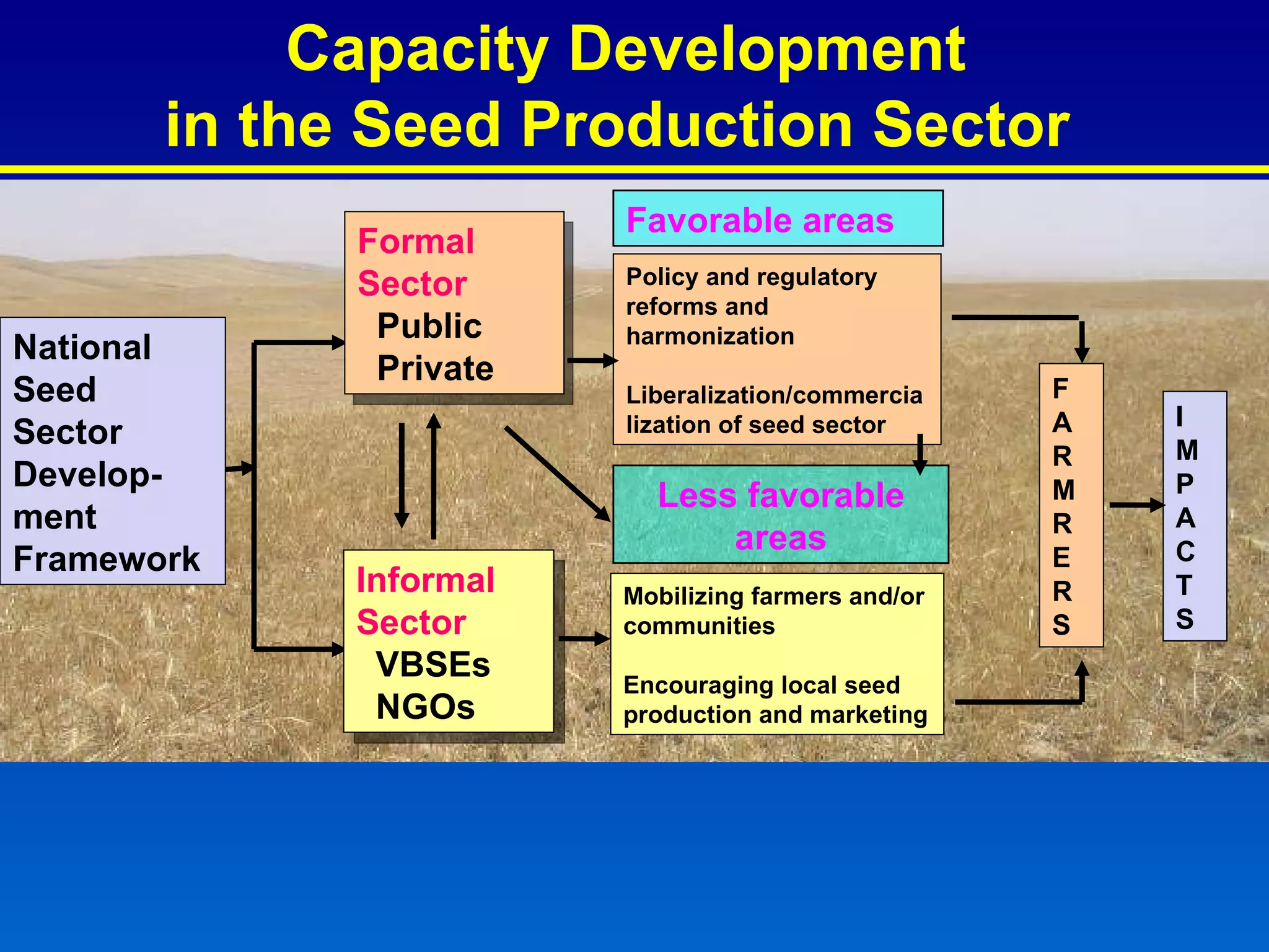 Capacity Development  in the Seed Production Sector   Favorable areas Less favorable areas National  Seed  Sector Develop-ment Framework Policy and regulatory reforms and harmonization Liberalization/commercialization of seed sector Mobilizing farmers and/or communities  Encouraging local seed production and marketing Formal Sector Public Private Informal Sector VBSEs NGOs F A R M R E R S I M P A C T S 