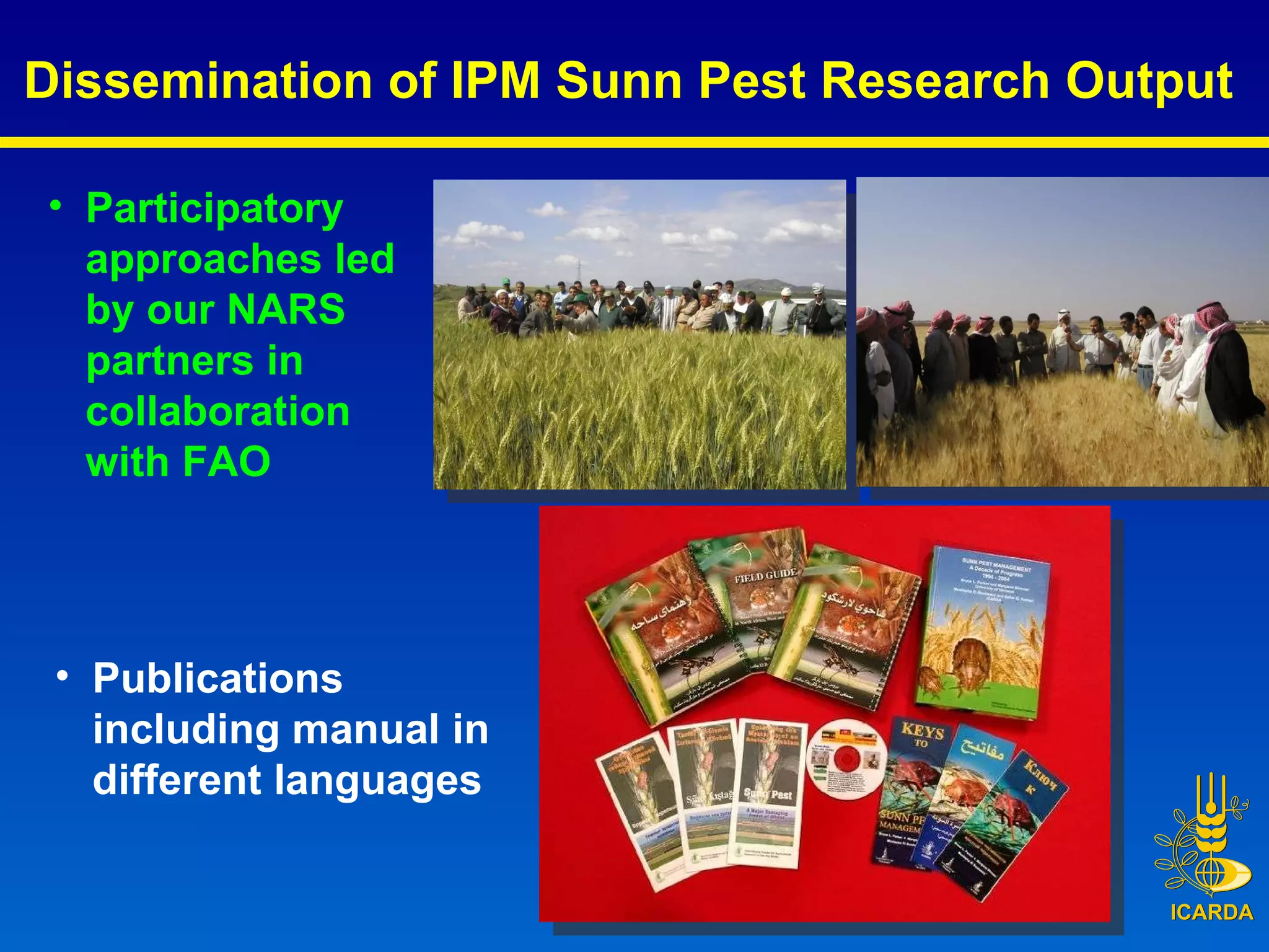 Participatory approaches led by our NARS partners in collaboration with FAO Publications including manual in different languages Dissemination of IPM Sunn Pest Research Output   