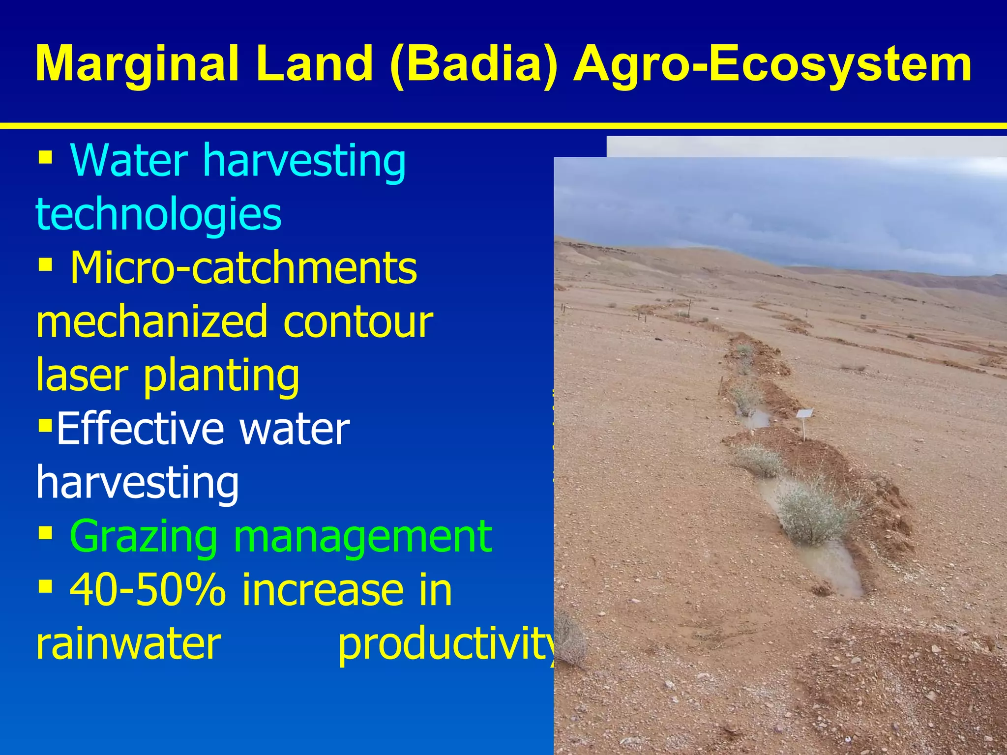 Marginal Land (Badia) Agro-Ecosystem Water harvesting  technologies Micro-catchments  mechanized contour  laser planting Effective water  harvesting Grazing management   40-50% increase in  rainwater  productivity 