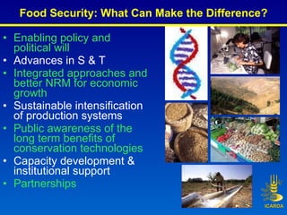 Food Security: What Can Make the Difference? <ul><li>Enabling policy and political will </li></ul><ul><li>Advances in S & ...