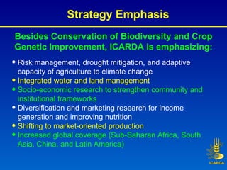 Besides Conservation of Biodiversity and Crop Genetic Improvement, ICARDA is emphasizing: <ul><li>Risk management, drought...