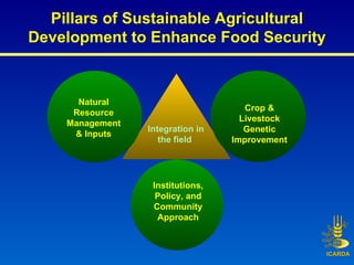 Pillars of Sustainable Agricultural Development to Enhance Food Security Integration in the field  Institutions, Policy, a...