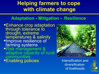Helping farmers to cope  with climate change Intensification and diversification  of livelihoods <ul><li>Enhance crop adap...