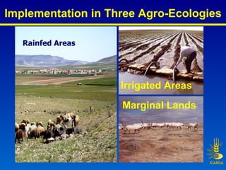 Implementation in Three Agro-Ecologies Rainfed Areas Marginal Lands Irrigated Areas 