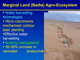 Marginal Land (Badia) Agro-Ecosystem <ul><li>Water harvesting  technologies </li></ul><ul><li>Micro-catchments  mechanized...