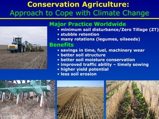 Conservation Agriculture:  Approach to Cope with Climate Change <ul><li>Major Practice Worldwide </li></ul><ul><ul><li>min...
