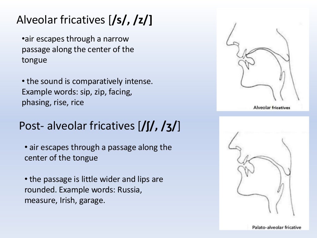 Fricatives of English