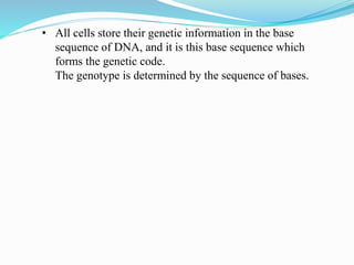 • All cells store their genetic information in the base
sequence of DNA, and it is this base sequence which
forms the genetic code.
The genotype is determined by the sequence of bases.
 