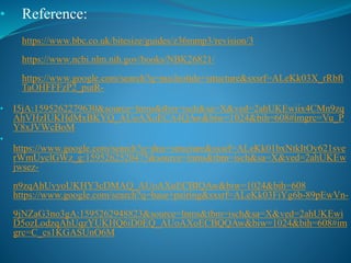 • Reference:
https://www.bbc.co.uk/bitesize/guides/z36mmp3/revision/3
https://www.ncbi.nlm.nih.gov/books/NBK26821/
https://www.google.com/search?q=nucleotide+structure&sxsrf=ALeKk03X_rRbft
TaOHFFFzP2_putR-
• I5jA:1595262279630&source=lnms&tbm=isch&sa=X&ved=2ahUKEwiix4CMn9zq
AhVHzIUKHdMxBKYQ_AUoAXoECA4QAw&biw=1024&bih=608#imgrc=Vu_P
Y8xJVWcBoM
•
https://www.google.com/search?q=dna+structure&sxsrf=ALeKk01bxNtkItOy621sve
rWmUyclGWz_g:1595262520475&source=lnms&tbm=isch&sa=X&ved=2ahUKEw
jwsez-
n9zqAhUvyoUKHY3cDMAQ_AUoAXoECBIQAw&biw=1024&bih=608
https://www.google.com/search?q=base+pairing&sxsrf=ALeKk03FiYg6b-89pEwVn-
9jNZaG3no3gA:1595262948823&source=lnms&tbm=isch&sa=X&ved=2ahUKEwi
D5ozLodzqAhUqzYUKHQ6iD0EQ_AUoAXoECBQQAw&biw=1024&bih=608#im
grc=C_cs1KGASUnO6M
 