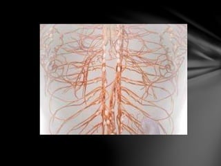 • Definition:
The lymphatic system is a network of low-pressure
vessels which provide a route for the return
of interstiti...