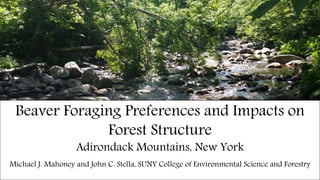 Beaver Foraging Preferences and Impacts on
Forest Structure
Adirondack Mountains, New York
Michael J. Mahoney and John C. Stella, SUNY College of Environmental Science and Forestry
 