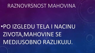 RAZNOVRSNOST MAHOVINA
•PO IZGLEDU TELA I NACINU
ZIVOTA,MAHOVINE SE
MEDJUSOBNO RAZLIKUJU.
 