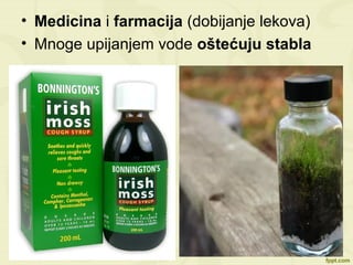 • Medicina i farmacija (dobijanje lekova)
• Mnoge upijanjem vode oštećuju stabla
 