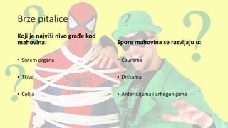 Brze pitalice
Koji je najviši nivo građe kod
mahovina:
• Sistem organa
• Tkivo
• Ćelija
Spore mahovina se razvijaju u:
• Čaurama
• Drškama
• Anteridijama i arhegonijama
 