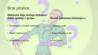 Brze pitalice
Mahovine koje nemaju stabaoca i
listiće spadaju u grupe:
• Tresetnjača i lisnatih mahovina
• Pravih mahovina
• Jetrenjača i rogljača
Rizoidi mahovina učestvuju u:
• Upijanju vode
• Pričvršćivanju za tlo
• Fotosintezi
 