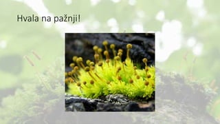 Hvala na pažnji!
 