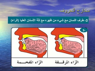 ‫مخارج الحروف‬
‫2- طرف اللسان مع شيء من ظهره مع لثة السنان العليا )الراء(‬

                                                     ‫-2‬
 
