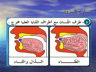 ‫مخارج الحروف‬
          ‫5‬
 