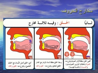 ‫مخارج الحروف‬
 