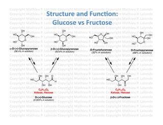 Copyright	
  Mathieu	
  P.	
  Lalonde	
  Copyright	
  Mathieu	
  P.	
  Lalonde	
  Copyright	
  Mathieu	
  P.	
  Lalonde	
  
                                Structure	
  and	
  Func3on:	
  	
  
Copyright	
  Mathieu	
  P.	
  Lalonde	
  Copyright	
  Mathieu	
  P.	
  Lalonde	
  Copyright	
  Mathieu	
  P.	
  Lalonde	
  
Copyright	
  Mathieu	
  P.	
  Lalonde	
  Copyright	
  Mathieu	
  P.	
  Lalonde	
  Copyright	
  Mathieu	
  P.	
  Lalonde	
  
                                  Glucose	
  vs	
  Fructose	
  
Copyright	
  Mathieu	
  P.	
  Lalonde	
  Copyright	
  Mathieu	
  P.	
  Lalonde	
  Copyright	
  Mathieu	
  P.	
  Lalonde	
  
Copyright	
  Mathieu	
  P.	
  Lalonde	
  Copyright	
  Mathieu	
  P.	
  Lalonde	
  Copyright	
  Mathieu	
  P.	
  Lalonde	
  
Copyright	
  Mathieu	
  P.	
  Lalonde	
  Copyright	
  Mathieu	
  P.	
  Lalonde	
  OH
   HO
          OH
                                            HO
                                                   OH
                                                                                  O
                                                                                       Copyright	
  Mathieu	
  P.	
  OH
                                                                                                                     Lalonde	
  
                                                                                                                             OH
Copyright	
  Mathieu	
  P.	
  Lalonde	
  Copyright	
  Mathieu	
  P.	
  Lalonde	
  Copyright	
  Mathieu	
  P.	
  Lalonde	
  
                     OH                                       OH     HO                    OH
                                                                                                             HO
                                                                                                                          OH
              O                                        O
Copyright	
  Mathieu	
  P.	
  Lalonde	
  Copyright	
  Mathieu	
  P.	
  Lalonde	
  Copyright	
  Mathieu	
  P.	
  Lalonde	
  
   HO                                       HO                               HO       OH                     HO
                                                                                                                       O
Copyright	
  Mathieu	
  P.	
  Lalonde	
  Copyright	
  Mathieu	
  P.	
  Lalonde	
  Copyright	
  Mathieu	
  P.	
  Lalonde	
  
          OH                                       OH
!-D-(+)-Glucopyranose                   "-D-(+)-Glucopyranose
Copyright	
  Mathieu	
  P.	
  Lalonde	
  Copyright	
  Mathieu	
  PD-Fructofuranose
    (36.4% in solution)                      (63.6% in solution)      .	
  (32% in solution)
                                                                            Lalonde	
  Copyright	
  Mathieu	
  P.	
  Lalonde	
  
                                                                                                             D-Fructopyranose
                                                                                                              (68% in solution)
Copyright	
  Mathieu	
  P.	
  Lalonde	
  Copyright	
  Mathieu	
  P.	
  Lalonde	
  Copyright	
  Mathieu	
  P.	
  Lalonde	
  
Copyright	
  Mathieu	
  P.	
  Lalonde	
  Copyright	
  Mathieu	
  P.	
  Lalonde	
  Copyright	
  Mathieu	
  P.	
  Lalonde	
  
Copyright	
  Mathieu	
  P.	
  Lalonde	
  Copyright	
  Mathieu	
  P.	
  Lalonde	
  Copyright	
  Mathieu	
  P.	
  Lalonde	
  
Copyright	
  Mathieu	
  P.	
  Lalonde	
  Copyright	
  Mathieu	
  P.	
  Lalonde	
  Copyright	
  Mathieu	
  P.	
  Lalonde	
  
Copyright	
  Mathieu	
  P.	
  Lalonde	
  Copyright	
  Mathieu	
  P.	
  Lalonde	
  Copyright	
  Mathieu	
  P.	
  Lalonde	
  
                            OH OH O                                                             OH OH OH
Copyright	
  Mathieu	
  P.	
  Lalonde	
  Copyright	
  Mathieu	
  P.	
  Lalonde	
  Copyright	
  Mathieu	
  P.	
  Lalonde	
  
                    HO                                                                  HO
                                            H
Copyright	
  Mathieu	
  P.	
  Lalonde	
  Copyright	
  Mathieu	
  P.	
  Lalonde	
  Copyright	
  Mathieu	
  P.	
  Lalonde	
  
                               OH OH                                                              OH O
Copyright	
  Mathieu	
  P.	
  LO
                            C6H12 6
                                   alonde	
  Copyright	
  Mathieu	
  P.	
  Lalonde	
  Copyright	
  Mathieu	
  P.	
  Lalonde	
  
                                                                                                C6H12O6
Copyright	
  Mathieu	
  P.	
  Hexose Copyright	
  Mathieu	
  P.	
  Lalonde	
  Copyright	
  Mathieu	
  P.	
  Lalonde	
  
                        Aldose, Lalonde	
                                                    Ketose, Hexose
Copyright	
  Mathieu	
  P.	
  Lalonde	
  Copyright	
  Mathieu	
  P.	
  Lalonde	
  Copyright	
  Mathieu	
  P.	
  Lalonde	
  
                         D-(+)-Glucose                                                      "-D-(–)-Fructose
                       (0.003% in solution)
Copyright	
  Mathieu	
  P.	
  Lalonde	
  Copyright	
  Mathieu	
  P.	
  Lalonde	
  Copyright	
  Mathieu	
  P.	
  Lalonde	
  
Copyright	
  Mathieu	
  P.	
  Lalonde	
  Copyright	
  Mathieu	
  P.	
  Lalonde	
  Copyright	
  Mathieu	
  P.	
  Lalonde	
  
Copyright	
  Mathieu	
  P.	
  Lalonde	
  Copyright	
  Mathieu	
  P.	
  Lalonde	
  Copyright	
  Mathieu	
  P.	
  Lalonde	
  
Copyright	
  Mathieu	
  P.	
  Lalonde	
  Copyright	
  Mathieu	
  P.	
  Lalonde	
  Copyright	
  Mathieu	
  P.	
  Lalonde	
  	
  
 