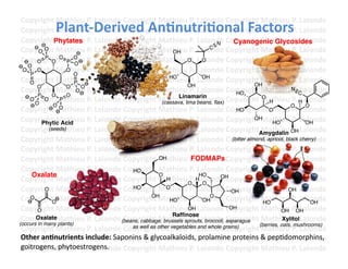 Copyright	
  Mathieu	
  P.	
  Lalonde	
  Copyright	
  Mathieu	
  P.	
  Lalonde	
  Copyright	
  Mathieu	
  P.	
  Lalonde	
  
               Plant-­‐Derived	
  An3nutri3onal	
  Factors	
  
 Copyright	
  Mathieu	
  P.	
  Lalonde	
  Copyright	
  Mathieu	
  P.	
  Lalonde	
  Copyright	
  Mathieu	
  P.	
  Lalonde	
  
 Copyright	
  Mathieu	
  P.	
  Lalonde	
  Copyright	
  Mathieu	
  P.	
  Lalonde	
  Copyright	
  Mathieu	
  P.	
  Lalonde	
  
               Phytates                                                            N       Cyanogenic Glycosides
 Copyright	
  Mathieu	
  P.	
  Lalonde	
  Copyright	
  Mathieu	
  P.	
  Lalonde	
  Copyright	
  Mathieu	
  P.	
  Lalonde	
  
         OO                                                    OH
                                                                                C

 Copyright	
  Mathieu	
  P.	
  Lalonde	
  Copyright	
  Mathieu	
  P.	
  Lalonde	
  Copyright	
  Mathieu	
  P.	
  Lalonde	
  
        O
           P
               O
                 O
                     P O
                        O
                                                                       O      O
    O
 Copyright	
  Mathieu	
  P.	
  Lalonde	
  Copyright	
  Mathieu	
  P.	
  Lalonde	
  Copyright	
  Mathieu	
  P.	
  Lalonde	
  
  O
     P
        O            O
                        O
 Copyright	
  Mathieu	
  P.	
  Lalonde	
  Copyright	
  Mathieu	
  P.	
  Lalonde	
  Copyright	
  Mathieu	
  P.	
  Lalonde	
  
     O                  P
                                                              HO              OH
                                                                       OH                            OH
 Copyright	
  Mathieu	
  P.	
  Lalonde	
  Copyright	
  Mathieu	
  P.	
  Lalonde	
  Copyright	
  Mathieu	
  N .	
  C alonde	
  
        O            O
                         O
                           O
                                                                                            HO                       PL
        P      O     O                                            Linamarin
 Copyright	
  Mathieu	
  P.	
  Lalonde	
  Copyright	
  Mathieu	
  P.	
  beans, flax) Copyright	
  Mathieu	
  P.	
  H alonde	
  
     O
       O
           O     P
                                                           (cassava, lima Lalonde	
  
                                                                                                       O
                                                                                                          H                 L
               OO                                                                                                    O        O
 Copyright	
  Mathieu	
  P.	
  Lalonde	
  Copyright	
  Mathieu	
  P.	
  Lalonde	
  Copyright	
  Mathieu	
  P.	
  Lalonde	
  
                                                                                            HO            O
 Copyright	
  Mathieu	
  P.	
  Lalonde	
  Copyright	
  Mathieu	
  P.	
  Lalonde	
  Copyright	
  Mathieu	
  P.	
  Lalonde	
  
          Phytic Acid
                                                                                                     OH
                                                                                                            HO                OH
 Copyright	
  Mathieu	
  P.	
  Lalonde	
  Copyright	
  Mathieu	
  P.	
  Lalonde	
  Copyright	
  Mathieu	
  OH Lalonde	
  
             (seeds)
                                                                                                      Amygdalin
                                                                                                                     P.	
  
 Copyright	
  Mathieu	
  P.	
  Lalonde	
  Copyright	
  Mathieu	
  P.	
  Lalonde	
  Copyright	
  Mapricot, black cherry)
                                                                                          (bitter almond, athieu	
  P.	
  Lalonde	
  

 Copyright	
  Mathieu	
  P.	
  Lalonde	
  Copyright	
  Mathieu	
  P.	
  Lalonde	
  Copyright	
  Mathieu	
  P.	
  Lalonde	
  
 Copyright	
  Mathieu	
  P.	
  Lalonde	
  Copyright	
  Mathieu	
  P.	
  Lalonde	
  Copyright	
  Mathieu	
  P.	
  Lalonde	
  
                                                          OH            FODMAPs
 Copyright	
  Mathieu	
  P.	
  Lalonde	
  Copyright	
  Mathieu	
  P.	
  Lalonde	
  Copyright	
  Mathieu	
  P.	
  Lalonde	
  
                                              HO
     Oxalate                                              O                 HO
 Copyright	
  Mathieu	
  P.	
  Lalonde	
  Copyright	
  Mathieu	
  O .	
  H alonde	
  Copyright	
  Mathieu	
  P.	
  Lalonde	
  
                                                             H         P LO          OH

 Copyright	
  Mathieu	
  P.	
  Lalonde	
  Copyright	
  Mathieu	
  P.	
  Lalonde	
  Copyright	
  Mathieu	
  P.	
  Lalonde	
  
           O                                  HO             O
                                                                                          OH                       OH
 Copyright	
  Mathieu	
  P.	
  Lalonde	
  Copyright	
  Mathieu	
  P.	
  Lalonde	
  Copyright	
  Mathieu	
  P.	
  Lalonde	
  
     O
               O
                                                       OH
                                                              HO              OH
                                                                                 O
                                                                                                        HO                      OH
 Copyright	
  Mathieu	
  P.	
  Lalonde	
  Copyright	
  Mathieu	
  P.	
  
        O                                                              OH Lalonde	
  Copyright	
  Mathieu	
  P.	
  Lalonde	
  
                                                                                         OH
                                                                                                                OH OH
                                                               Raffinose
 Copyright	
  Mathieu	
  P.	
  Lalonde	
  Copyright	
  Mathieu	
  P.	
  Lalonde	
  asparagus Mathieu	
  P.	
  Lalonde	
  
       Oxalate
                                         (beans, cabbage, brussels sprouts, broccoli, Copyright	
                Xylitol
(occurs in many plants)                                                                               (berries, oats, mushrooms)
 Copyright	
  Mathieu	
  P.	
  Lalonde	
  Copyright	
  other vegetables Lalonde	
  Copyright	
  Mathieu	
  P.	
  Lalonde	
  
                                              as well as
                                                          Mathieu	
  P.	
   and whole grains)
 Copyright	
  Mathieu	
  iP.	
  Lalonde	
  Copyright	
  Mathieu	
  P.	
  Lalonde	
  Copyright	
  &	
  pepFdomorphins,	
  
 Other	
  an3nutrients	
   nclude:	
  Saponins	
  &	
  glycoalkaloids,	
  prolamine	
  proteins	
   Mathieu	
  P.	
  Lalonde	
  
 Copyright	
  Mhytoestrogens.	
   Copyright	
  Mathieu	
  P.	
  Lalonde	
  Copyright	
  Mathieu	
  P.	
  Lalonde	
  	
  
 goitrogens,	
  p athieu	
  P.	
  Lalonde	
  
 