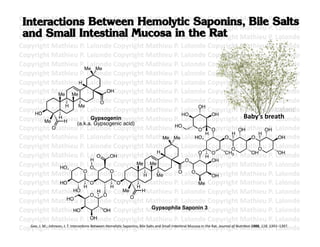 Copyright	
  Mathieu	
  P.	
  Lalonde	
  Copyright	
  Mathieu	
  P.	
  Lalonde	
  Copyright	
  Mathieu	
  P.	
  Lalonde	
  
Copyright	
  Mathieu	
  P.	
  Lalonde	
  Copyright	
  Mathieu	
  P.	
  Lalonde	
  Copyright	
  Mathieu	
  P.	
  Lalonde	
  
Copyright	
  Mathieu	
  P.	
  Lalonde	
  Copyright	
  Mathieu	
  P.	
  Lalonde	
  Copyright	
  Mathieu	
  P.	
  Lalonde	
  
Copyright	
  Mathieu	
  P.	
  Lalonde	
  Copyright	
  Mathieu	
  P.	
  Lalonde	
  Copyright	
  Mathieu	
  P.	
  Lalonde	
  
Copyright	
  Mathieu	
  P.	
  Lalonde	
  Copyright	
  Mathieu	
  P.	
  Lalonde	
  Copyright	
  Mathieu	
  P.	
  Lalonde	
  
Copyright	
  Mathieu	
  P.	
  Lalonde	
  Copyright	
  Mathieu	
  P.	
  Lalonde	
  Copyright	
  Mathieu	
  P.	
  Lalonde	
  
                                            Me Me
Copyright	
  Mathieu	
  P.	
  Lalonde	
  Copyright	
  Mathieu	
  P.	
  Lalonde	
  Copyright	
  Mathieu	
  P.	
  Lalonde	
  
Copyright	
  Mathieu	
  H .	
  Lalonde	
  Copyright	
  Mathieu	
  P.	
  Lalonde	
  Copyright	
  Mathieu	
  P.	
  Lalonde	
  
                                          P
Copyright	
  Mathieu	
  P.	
  Lalonde	
  Copyright	
  Mathieu	
  P.	
  Lalonde	
  Copyright	
  Mathieu	
  P.	
  Lalonde	
  
                            Me Me
                                                        OH

Copyright	
  Mathieu	
  P.	
  Lalonde	
  Copyright	
  Mathieu	
  P.	
  Lalonde	
  Copyright	
  Mathieu	
  P.	
  Lalonde	
  
                                                      O
                              H          Me                                                                                    OH
Copyright	
  Mathieu	
  P.	
  Lalonde	
  Copyright	
  Mathieu	
  P.	
  Lalonde	
  Copyright	
  Mathieu	
  P.	
  Lalonde	
  
     HO                                                                                                                   HO
Copyright	
  Mathieu	
  P.	
  Lalonde	
  Copyright	
  Mathieu	
  P.	
  Lalonde	
  Copyright	
  Mathieu	
  P.	
  Lalonde	
  
                            H                      Gypsogenin
                                                                                                                                      OH
                                                                                                                                                      Baby’s	
  breath	
  
                  Me          H         (a.k.a. Gypsogenic acid)
Copyright	
  Mathieu	
  P.	
  Lalonde	
  Copyright	
  Mathieu	
  P.	
  Lalonde	
  CO
                          O                                                                                         HO
                                                                                                                               O      opyright	
  Mathieu	
  P.	
  Lalonde	
  
                                                                                                                                                  OH                    OH
                                                                                                                                  H         H                    H
Copyright	
  Mathieu	
  P.	
  Lalonde	
  Copyright	
  Mathieu	
  Me Lalonde	
  Copyright	
  Mathieu	
  P.	
  LOH
                                                                                                         Me P.	
              HO          O                  O                     alonde	
  
Copyright	
  Mathieu	
  P.	
  Lalonde	
  Copyright	
  Mathieu	
  P.	
  Lalonde	
  Copyright	
  Mathieu	
  P.	
  Lalonde	
                   O                   O
                                                                                                   H
Copyright	
  Mathieu	
  P.	
  Lalonde	
  Copyright	
  Mathieu	
  P.	
  Lalonde	
  Copyright	
  Mathieu	
  P.	
  LOH
                                                     O    OH
                                                                                                                               O
                                                                                                                                  H
                                                                                                                                      O   CH3                OH
                                                                                                                                                                                   alonde	
  
                                                   H                                                                       O          OH
Copyright	
  Mathieu	
  P.	
  Lalonde	
  Copyright	
  Mathieu	
  P.	
  Lalonde	
  Copyright	
  Mathieu	
  P.	
  Lalonde	
  
                            HO                    O
                                                                           Me Me

Copyright	
  Mathieu	
  P.	
  Lalonde	
  Copyright	
  Mathieu	
  P.	
  Lalonde	
  COH
                                            O             O
                                                                                    H              Me
                                                                                                                      O      O        opyright	
  Mathieu	
  P.	
  Lalonde	
  
Copyright	
  Mathieu	
  P.	
  Lalonde	
  CO
                            HO
                                            H
                                                  O
                                                          H
                                                              opyright	
  Mathieu	
  P.	
  Lalonde	
  Copyright	
  Mathieu	
  P.	
  Lalonde	
  
                                                                            H
                                                                                                                               Me
Copyright	
  Mathieu	
  P.	
  Lalonde	
  Copyright	
  Mathieu	
  P.	
  Lalonde	
  Copyright	
  Mathieu	
  P.	
  Lalonde	
  
                                      HO
                                                  O
                                                     H
                                                       O
                                                                  Me              H
                                                                        O
Copyright	
  Mathieu	
  P.	
  Lalonde	
  Copyright	
  Mathieu	
  P.	
  Lalonde	
  Copyright	
  Mathieu	
  P.	
  Lalonde	
  
                               HO

Copyright	
  Mathieu	
  P.	
  Lalonde	
  Copyright	
  MGypsophila Lalonde	
  Copyright	
  Mathieu	
  P.	
  Lalonde	
  
                                      HO               OH                                    athieu	
  P.	
   Saponin 3
Copyright	
  Mathieu	
  P.	
  Lalonde	
  Copyright	
  Mathieu	
  P.	
  Lalonde	
  Copyright	
  Mathieu	
  P.	
  Lalonde	
  
                                                  OH

Copyright	
  ohnson,	
  I.	
  T.	
  InteracFons	
  alonde	
  Copyright	
  Mathieu	
  ntesFnal	
  Mucosa	
  in	
  the	
  Rat.	
  Journal	
  of	
  Nutri=on	
  1988,	
  118,	
  P391–1397.	
  
   Gee,	
  J.	
  M.;	
  J
                          Mathieu	
  P.	
  L Between	
  HemolyFc	
  Saponins,	
  Bile	
  Salts	
  and	
  Small	
  I P.	
  Lalonde	
  Copyright	
  Mathieu	
   1 .	
  Lalonde	
  	
  
 