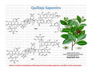 Copyright	
  Mathieu	
  P.	
  Lalonde	
  Copyright	
  Mathieu	
  P.	
  Lalonde	
  Copyright	
  Mathieu	
  P.	
  Lalonde	
  
                                        Quillaja	
  Saponins	
  
Copyright	
  Mathieu	
  P.	
  Lalonde	
  Copyright	
  Mathieu	
  P.	
  Lalonde	
  Copyright	
  Mathieu	
  P.	
  Lalonde	
  
Copyright	
  Mathieu	
  P.	
  Lalonde	
  Copyright	
  Mathieu	
  P.	
  Lalonde	
  Copyright	
  Mathieu	
  P.	
  Lalonde	
  
Copyright	
  Mathieu	
  P.	
  Lalonde	
  Copyright	
  OH athieu	
  P.	
  LH OH Copyright	
  Mathieu	
  P.	
  Lalonde	
  
                                      Me Me        HO
                                                         M O H OH O alonde	
  
Copyright	
  Mathieu	
  P.	
  Lalonde	
  Copyright	
  Mathieu	
  P.	
  LO
                                                                 O
                                                                               alonde	
  Copyright	
  Mathieu	
  P.	
  Lalonde	
  
                                                                                    OH
                                                                                       OH

Copyright	
  O athieu	
  P.	
  Lalonde	
  Copyright	
  O athieu	
  P.	
  Lalonde	
  Copyright	
  Mathieu	
  P.	
  Lalonde	
  
          H
              M OH                             O
                                                    O
                                                       H M
                                                         OH
                                                              Me        OH

Copyright	
  Mathieu	
  P.	
  Lalonde	
  Copyright	
  Mathieu	
  P.	
  Lalonde	
  Copyright	
  Mathieu	
  P.	
  Lalonde	
  
HO
       O
          O
                  O
                            Me Me H                        O     OH
                                                                         H
                                           OO    O
Copyright	
  Mathieu	
  P.	
  Lalonde	
  H opyright	
  O athieu	
  P.	
  Lalonde	
  Copyright	
  Mathieu	
  P.	
  Lalonde	
  
                                H   Me
                                           C             M              O        OH
                                                                                       H
HO        O          O                              Me
Copyright	
  H athieu	
  P.	
   H
    HO
       H      M   H
                       Me
                            H Lalonde	
  Copyright	
  Mathieu	
  P Lalonde	
  Copyright	
  Mathieu	
  P Lalonde	
  
                                                                      O .	
  
                                                                                     H
                                                                                       O                           .	
  
Copyright	
  Mathieu	
  P.	
  Lalonde	
  Copyright	
  Mathieu	
  P.	
  Lalonde	
  Copyright	
  Mathieu	
  P.	
  Lalonde	
  
          O    O          O                                                                OH
  HO                                          QS21                                   O

Copyright	
  Mathieu	
  P.	
  Lalonde	
  Copyright	
  Mathieu	
  P.	
  Lalonde	
  Copyright	
  Mathieu	
  P.	
  Lalonde	
  
    HO         OH                                                                HO       OH
Copyright	
  Mathieu	
  P.	
  Lalonde	
  Copyright	
  Mathieu	
  P.	
  Lalonde	
  Copyright	
  Mathieu	
  P.	
  Lalonde	
  
          OH
                                                      OH

Copyright	
  Mathieu	
  P.	
  Lalonde	
  Copyright	
  Mathieu	
  P.	
  Lalonde	
  Copyright	
  Mathieu	
  P.	
  Lalonde	
  
                                               HO         OH

Copyright	
  Mathieu	
  P.	
  Lalonde	
  Copyright	
  Mathieu	
  P.	
  Lalonde	
  Copyright	
  Mathieu	
  P.	
  Lalonde	
  
                                             HO
                                                      O   O          OH            OH
Copyright	
  Mathieu	
  P.	
  Lalonde	
  Copyright	
  Mathieu	
  P.	
  Lalonde	
  Copyright	
  Mathieu	
  P.	
  Lalonde	
  
                                                        H          H             H
                                                    HO          O             O
                                                                                      OH
Copyright	
  Mathieu	
  P.	
  Lalonde	
  Copyright	
  Mathieu	
  P.	
  Lalonde	
  Copyright	
  Mathieu	
  P.	
  Lalonde	
  
                                       Me Me
                                                      O   O     Me
                                                                  O
                                                                              OH
                                                                                O

Copyright	
  Mathieu	
  P.	
  Lalonde	
  Copyright	
  Mathieu	
  P.	
  Lalonde	
  Copyright	
  Mathieu	
  P.	
  Lalonde	
  
              O    OH
                                                        H
                                                             H
                                                                OH
                                                                                      OH


Copyright	
  Mathieu	
  P.	
  Me Me H Copyright	
  Mathieu	
  P.	
  Lalonde	
  Copyright	
  Mathieu	
  P.	
  Lalonde	
  
                               Lalonde	
  
            H                                   O         O          OH
 HO        O
Copyright	
  Mathieu	
  P.	
  Lalonde	
  CO O O Mathieu	
  P.	
  Lalonde	
  Copyright	
  Mathieu	
  P.	
  Lalonde	
  
         O         O
                                  H  Me      opyright	
   O O        OH

Copyright	
  Mathieu	
  P.	
  H alonde	
  Copyright	
  Mathieu	
  P.	
  Lalonde	
  Copyright	
  Mathieu	
  P.	
  Lalonde	
  
                               LH
 HO        O          O                     H       Me          Me
         H          H                                   O    Me
     HO                 Me
                                                                                                Soap	
  bark	
  tree	
  
              H
Copyright	
  Mathieu	
  P.	
  Lalonde	
  Copyright	
  Mathieu	
  P.	
  Lalonde	
  Copyright	
  Mathieu	
  P.	
  Lalonde	
  
   HO
           O     O         O
                                        QS7
Copyright	
  Mathieu	
  P.	
  Lalonde	
  Copyright	
  Mathieu	
  P.	
  Lalonde	
  Copyright	
  Mathieu	
  P.	
  Lalonde	
  
     HO          OH
Copyright	
  Mathieu	
  P.	
  Lalonde	
  Copyright	
  Mathieu	
  P.	
  Lalonde	
  Copyright	
  Mathieu	
  P.	
  Lalonde	
  
           OH

Copyright	
  a mixture ofP.	
  Lalonde	
  Copyright	
  Mathieu	
  P.	
  Lalonde	
  Cand QS7 are the most potent
     Quil A, Mathieu	
   partially purified saponins from quillaja saponaria, opyright	
  Mathieu	
  P.	
  Lalonde	
  	
  
 