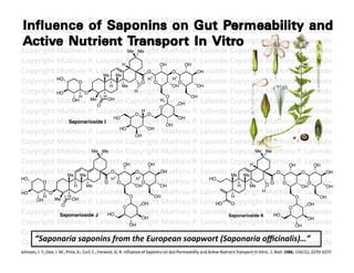 Copyright	
  Mathieu	
  P.	
  Lalonde	
  Copyright	
  Mathieu	
  P.	
  Lalonde	
  Copyright	
  Mathieu	
  P.	
  Lalonde	
  
Copyright	
  Mathieu	
  P.	
  Lalonde	
  Copyright	
  Mathieu	
  P.	
  Lalonde	
  Copyright	
  Mathieu	
  P.	
  Lalonde	
  
Copyright	
  Mathieu	
  P.	
  Lalonde	
  Copyright	
  Mathieu	
  P.	
  Lalonde	
  Copyright	
  Mathieu	
  P.	
  Lalonde	
  
Copyright	
  Mathieu	
  P.	
  Lalonde	
  Copyright	
  Mathieu	
  P.	
  Lalonde	
  Copyright	
  Mathieu	
  P.	
  Lalonde	
  
                                                                                  Me Me

Copyright	
  Mathieu	
  P.	
  Lalonde	
  Copyright	
  OH athieu	
  P.	
  Lalonde	
  Copyright	
  Mathieu	
  P.	
  Lalonde	
  
                                                                           H
                                                                                               M            OH
Copyright	
  Mathieu	
  P.	
  Lalonde	
  Copyright	
  Mathieu	
  P.	
  Lalonde	
  Copyright	
  Mathieu	
  P.	
  Lalonde	
  
                                                           Me Me
                                                                                          O         O              OH

Copyright	
  Mathieu	
  P.	
  Lalonde	
  Copyright	
  Mathieu	
  P.	
  Lalonde	
  Copyright	
  Mathieu	
  P.	
  Lalonde	
  
                                  HO
                                           O
                                                              H            Me         O
                                                                                        O
                                                                                          H
                                                                                            O
                                                                                                    H
                                                                                                    OH
                                                                                                         O
                                                                                                                   OH
Copyright	
  Mathieu	
  P.	
  Lalonde	
  Copyright	
  Mathieu	
  P.	
  Lalonde	
  Copyright	
  Mathieu	
  P.	
  Lalonde	
  
                                  HO         O                                      H
                                           H               H                                    O             OH
Copyright	
  Mathieu	
  P.	
  Lalonde	
  Copyright	
  H athieu	
  P.	
  Lalonde	
  Copyright	
  Mathieu	
  P.	
  Lalonde	
  
                                        OH     Me
                                                        O
                                                             OH
                                                                                               M OH
                                                                                              O
Copyright	
  Mathieu	
  P.	
  Lalonde	
  Copyright	
  Mathieu	
  P.	
  Lalonde	
  Copyright	
  Mathieu	
  P.	
  Lalonde	
  
                                                                                    O
                                                                                        H
                                                                                          O
Copyright	
  Mathieu	
  P.	
  Lalonde	
  Copyright	
  Mathieu	
  P.	
  Lalonde	
  Copyright	
  Mathieu	
  P.	
  Lalonde	
  
                                                                 HO                                      OH
                                      Saponarioside I
                                                                                                OH
Copyright	
  Mathieu	
  P.	
  Lalonde	
  Copyright	
  Mathieu	
  P.	
  Lalonde	
  Copyright	
  Mathieu	
  P.	
  Lalonde	
  
                                                                          HO
                                                                                    OH
                                                                                          OH


Copyright	
  Mathieu	
  P.	
  Lalonde	
  Copyright	
  Mathieu	
  P.	
  Lalonde	
  Copyright	
  Mathieu	
  P.	
  Lalonde	
  
Copyright	
  Mathieu	
  PMe alonde	
  Copyright	
  Mathieu	
  P.	
  Lalonde	
  Copyright	
  Mathieu	
  P.	
  Lalonde	
  
                                                   .	
  L Me                                                                                             Me Me

Copyright	
  Mathieu	
  P.	
  Lalonde	
  Copyright	
  Mathieu	
  P.	
  Lalonde	
  Copyright	
  Mathieu	
  P.	
  Lalonde	
  
                                                                              OH          OH                                                      H                                          OH               OH
Copyright	
  Mathieu	
  P.	
  Lalonde	
  Copyright	
  M
                                      Me Me
                                                              O                     O         OH athieu	
  P Lalonde	
  Copyright	
  Mathieu	
  POLalonde	
  
                                                                                                                  .	
                Me Me
                                                                                                                                                                                   O                  .	
         OH

Copyright	
  Mathieu	
  P.	
  Lalonde	
  Copyright	
  OH athieu	
  P.	
  Lalonde	
  Copyright	
  Mathieu	
  P.	
  LO
HO
                   O
                                         H   Me
                                                           O
                                                               H
                                                                     O
                                                                                     H
                                                                                    OH
                                                                                        O      M                           HO
                                                                                                                                            H     Me              OO                   O
                                                                                                                                                                                                      OH
                                                                                                                                                                                                            alonde	
  
                                                                                                                                                                                                                  OH
Copyright	
  Mathieu	
  P.	
  Lalonde	
  CO
HO
                   H
                          O
                                      H
                                                                                   opyright	
  Mathieu	
  P.	
  Lalonde	
  Copyright	
  Mathieu	
  P.	
  Lalonde	
  
                                                                                            OH                                       H
                                                                                                                                                                H
                                                                                                                                                                                                    O           OH
Copyright	
  Mathieu	
  P.	
  Lalonde	
  Copyright	
  Mathieu	
  P.	
  Lalonde	
  Copyright	
  Mathieu	
  P.	
  LOH
        OH                    Me
                                   O
                                        OH
                                                                                        OH                                   HO      O                                                                      alonde	
  
                                                                              O                                                                                                              O
Copyright	
  Mathieu	
  P.	
  J alonde	
  Copyright	
  Mathieu	
  P.	
  Lalonde	
  Saponarioside K Mathieu	
  P.	
  Lalonde	
  
                                   Saponarioside
                                                        L HO                                                                        Copyright	
   HO
                                                                                        OH
Copyright	
  Mathieu	
  P.	
  Lalonde	
  COH                                       opyright	
  Mathieu	
  P.	
  Lalonde	
  Copyright	
  Mathieu	
  P.	
  Lalonde	
  
                                                                                                                                                                                                            OH
                                                                                                                                                                                                    OH
Copyright	
  Mathieu	
  P.	
  Lalonde	
  Copyright	
  Mathieu	
  P.	
  Lalonde	
  Copyright	
  Mathieu	
  P.	
  Lalonde	
  
       “Saponaria	
  saponins	
  from	
  the	
  European	
  soapwort	
  (Saponaria	
  oﬃcinalis)…”	
  
Copyright	
  Mathieu	
  P.	
  Lalonde	
  Copyright	
  Mathieu	
  P.	
  Lalonde	
  Copyright	
  Mathieu	
  P.	
  Lalonde	
  
Johnson,	
  I.	
  T.;	
  Gee,	
  JMathieu	
  PC.;	
  Falonde	
  nﬂuence	
  of	
  Saponins	
  on	
  athieu	
  P and	
  AcFve	
  Nutrient	
  Transport	
  In	
  Vitro.	
  	
  J.	
  Nutr.	
  1986,	
  1P Lalonde	
  	
  
Copyright	
  .	
  M.;	
  Price,	
  K.;	
  Curl,	
  .	
  Lenwick,	
  G.	
  R.	
  I Copyright	
  M Gut	
  Permeability	
  Lalonde	
  Copyright	
  Mathieu	
   16(11),	
  2270–2277.	
  
                                                                                                                  .	
                                                                                 .	
  
 