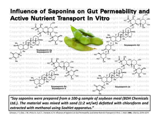 Copyright	
  Mathieu	
  P.	
  Lalonde	
  Copyright	
  Mathieu	
  P.	
  Lalonde	
  Copyright	
  Mathieu	
  P.	
  Lalonde	
  
Copyright	
  Mathieu	
  P.	
  Lalonde	
  Copyright	
  Mathieu	
  P.	
  Lalonde	
  Copyright	
  Mathieu	
  P.	
  Lalonde	
                                                                                          OH
                                                                                                                                                                                           O        OH
Copyright	
  Mathieu	
  P.	
  Lalonde	
  Copyright	
  Mathieu	
  P.	
  Lalonde	
  Copyright	
  Mathieu	
  P.	
  Lalonde	
                                                          HO
                                                                                                                                                                                                             OH
                                                                                                                                                                                                               O
                                                                                                                                                                                                                     OH

Copyright	
  Mathieu	
  P.	
  Lalonde	
  Copyright	
  Mathieu	
  P.	
  Lalonde	
  Copyright	
  Mathieu	
  P.	
  Lalonde	
  
                                         O    OH
                                                                     OH
                                                                                                                                                                                           H
                                                                                                                                                                                              O
                                                                                                                                                                                                             O       OH
Copyright	
  Mathieu	
  P.	
  Lalonde	
  C
                                      HO
                                                         OH
                                                           O
                                                                           OH opyright	
  Mathieu	
  P Lalonde	
  Copyright	
  Mathieu	
  P Lalonde	
  
                                                                                                                  .	
                                                                         H
                                                                                                                                                                                                    O .	
  
                                                                                                                                                                                                               H
                                                                                                                                                                                                                 OH

Copyright	
  Mathieu	
  P.	
  Lalonde	
  Copyright	
  Mathieu	
  P.	
  Lalonde	
  Copyright	
  Mathieu	
  Me.	
  Lalonde	
                                                                           P
                                         H                                                                                                                                    H            H
                                            O
                                                         O                 OH
                                            H               H
Copyright	
  Mathieu	
  P.	
  Lalonde	
  Copyright	
  Mathieu	
  P.	
  Lalonde	
  Copyright	
  Mathieu	
  P.	
  Lalonde	
                    Me           H        Me Me
                                              O               O            O         Me
                                                                                                                                           Me                                               HO
                                     H   H                     H                                                                                                              Me
Copyright	
  Mathieu	
  P.	
  Lalonde	
  Copyright	
  Mathieu	
  P.	
  Lalonde	
  Copyright	
  Mathieu	
  P.	
  Lalonde	
  
                           H       Me Me
                                               Me
                                                             HO                      OH                                                    HO
      Me                                                                                                                                        H        Me
Copyright	
  Mathieu	
  P.	
  Lalonde	
  Copyright	
  Mathieu	
  P.	
  Lalonde	
  Copyright	
  Mathieu	
  P.	
  Lalonde	
  
    Me
                                     Me
                                          HO                               OH                                                                O    O                                Soyasaponin A2

Copyright	
  Mathieu	
  P.	
  Lalonde	
  Copyright	
  Mathieu	
  P.	
  Lalonde	
  Copyright	
  Mathieu	
  P.	
  Lalonde	
  
                           Me
                                           Soyasaponin !g                                                                         HO
                                                                                                                                       H
                                                                                                                                                  OH
                                           Soyasaponin VI
Copyright	
  Mathieu	
  P.	
  Lalonde	
  Copyright	
  Mathieu	
  P.	
  Lalonde	
  O opyright	
  Mathieu	
  P.	
  Lalonde	
          C O
 O                   O
                                                                                                                           HO
                     H
                                                                                                                                                                 O                OH
Copyright	
  Mathieu	
  P.	
  Lalonde	
  OHopyright	
  Mathieu	
  P.	
  Lalonde	
  Copyright	
  Mathieu	
  P.	
  LOH
             O
HO                                                                O               C                                          HO              OH                                             OH                alonde	
  
      Me                                                                                                                                                 HO                                    O
Copyright	
  Mathieu	
  P.	
  Lalonde	
  Copyright	
  Mathieu	
  P.	
  Lalonde	
  Copyright	
  H Oathieu	
  P.	
  LOH                                             M                                           alonde	
  
                                                                                      OH    OH                                      OH
                                                           HO                           O
                                                                   H                                                                                                                        O
Copyright	
  Mathieu	
  P.	
  Lalonde	
  Copyright	
  Mathieu	
  P.	
  Lalonde	
  Copyright	
  Mathieu	
  P.	
  LO Me                                                                                         alonde	
  
                                                                          O                                                                                              H                     H
                                                                                      O     OH                                                                                    O                  O
                                                                          H             H
                                                                                 O        O O      Me
Copyright	
  Mathieu	
  P.	
  Lalonde	
  Copyright	
  Mathieu	
  P.	
  Lalonde	
  Copyright	
  Mathieu	
  P.	
  Lalonde	
  
                                                          H        H                      H
                                                                                                                                                    H            H
                                                                                                                                                                                   Me
                                                                                                                                                                                                 HO
                                                                                                                                                                                                     H
                                                                                                                                                                                                                  OH
                                                                                  Me
Copyright	
  Mathieu	
  P.	
  Lalonde	
  Copyright	
  Mathieu	
  P.	
  Lalonde	
  Copyright	
  Mathieu	
  P.	
  Lalonde	
  
                                      Me     H          Me Me
                                                                                         HO
                                                                                            OH
                                                                                                   OH                          Me
                                                                                                                              Me
                                                                                                                                           H     Me Me
                                                                                                                                                                   HO                                         OH

Copyright	
  Mathieu	
  P.	
  Lalonde	
  Copyright	
  Mathieu	
  P.	
  Lalonde	
  Copyright	
  Mathieu	
  P.	
  Lalonde	
  
                                    Me                               HO                                                                             Me
                                                          Me
                                                                                                                                           Me
Copyright	
  Mathieu	
  P.	
  Lalonde	
  Copyright	
  Mathieu	
  P.	
  Lalonde	
  Copyright	
  Mathieu	
  P.	
  Lalonde	
  
                                         HO
                                             Me                   Soyasaponin Bc
                                                                                                                           O         O
                                                                                                                                     H
                                                                                                                                                         Soyasaponin !a
Copyright	
  Mathieu	
  P.	
  Lalonde	
  Copyright	
  Mathieu	
  P.	
  Lalonde	
  Copyright	
  Mathieu	
  P.	
  Lalonde	
  
                                                                    Soyasaponin II
                                                                                                                                  O
                                                                                                                          HO

Copyright	
  Mathieu	
  P.	
  Lalonde	
  Copyright	
  Mathieu	
  P.	
  Lalonde	
  Copyright	
  Mathieu	
  P.	
  Lalonde	
      Me


Copyright	
  Mathieu	
  P.	
  Lalonde	
  Copyright	
  Mathieu	
  P.	
  Lalonde	
  Copyright	
  M(BDH	
  CP.	
  Lalonde	
  
 “Soy	
  saponins	
  were	
  prepared	
  from	
  a	
  100-­‐g	
  sample	
  of	
  soybean	
  meal	
   athieu	
   hemicals	
  
 Ltd.).	
  The	
  material	
  was	
  mixed	
  with	
  sand	
  (1:2	
  wt/wt)	
  defa=ed	
  with	
  chloroform	
  and	
  
Copyright	
  Mathieu	
  P.	
  Lalonde	
  Copyright	
  Mathieu	
  P.	
  Lalonde	
  Copyright	
  Mathieu	
  P.	
  Lalonde	
  
 extracted	
  with	
  methanol	
  using	
  Soxhlet	
  apparatus.”	
  
Copyright	
  Mathieu	
  P.	
  Lalonde	
  Copyright	
  Mathieu	
  P.	
  Lalonde	
  Copyright	
  Mathieu	
  P.	
  Lalonde	
  
Johnson,	
  I.	
  T.;	
  Gee,	
  JMathieu	
  PC.;	
  Falonde	
  nﬂuence	
  of	
  Saponins	
  on	
  athieu	
  P and	
  AcFve	
  Nutrient	
  Transport	
  In	
  Vitro.	
  	
  J.	
  Nutr.	
  1986,	
  1P Lalonde	
  	
  
Copyright	
  .	
  M.;	
  Price,	
  K.;	
  Curl,	
  .	
  Lenwick,	
  G.	
  R.	
  I Copyright	
  M Gut	
  Permeability	
  Lalonde	
  Copyright	
  Mathieu	
   16(11),	
  2270–2277.	
  
                                                                                                                  .	
                                                                                  .	
  
 