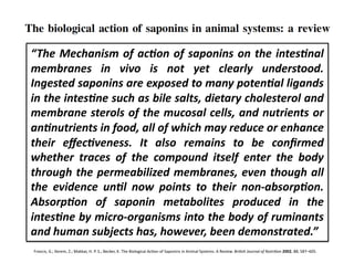 “The	
   Mechanism	
   of	
   acJon	
   of	
   saponins	
   on	
   the	
   intesJnal	
  
membranes	
   in	
   vivo	
   is	
   not	
   yet	
   clearly	
   understood.	
  
Ingested	
  saponins	
  are	
  exposed	
  to	
  many	
  potenJal	
  ligands	
  
in	
   the	
   intesJne	
   such	
   as	
   bile	
   salts,	
   dietary	
   cholesterol	
   and	
  
membrane	
  sterols	
  of	
  the	
  mucosal	
  cells,	
  and	
  nutrients	
  or	
  
anJnutrients	
  in	
  food,	
  all	
  of	
  which	
  may	
  reduce	
  or	
  enhance	
  
their	
   eﬀecJveness.	
   It	
   also	
   remains	
   to	
   be	
   conﬁrmed	
  
whether	
   traces	
   of	
   the	
   compound	
   itself	
   enter	
   the	
   body	
  
through	
  the	
  permeabilized	
  membranes,	
  even	
  though	
  all	
  
the	
   evidence	
   unJl	
   now	
   points	
   to	
   their	
   non-­‐absorpJon.	
  
AbsorpJon	
   of	
   saponin	
   metabolites	
   produced	
   in	
   the	
  
intesJne	
  by	
  micro-­‐organisms	
  into	
  the	
  body	
  of	
  ruminants	
  
and	
  human	
  subjects	
  has,	
  however,	
  been	
  demonstrated.”	
  
 Francis,	
  G.;	
  Kerem,	
  Z.;	
  Makkar,	
  H.	
  P.	
  S.;	
  Becker,	
  K.	
  The	
  Biological	
  AcFon	
  of	
  Saponins	
  in	
  Animal	
  Systems:	
  A	
  Review.	
  Bri=sh	
  Journal	
  of	
  Nutri=on	
  2002,	
  88,	
  587–605.	
  
 