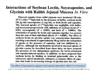 The	
  eﬀect	
  of	
  Soyasaponins	
  appears	
  to	
  be	
  species	
  dependent.	
  What	
  is	
  it	
  in	
  humans?	
  
Alvarez,	
  J.	
  R.;	
  Torres-­‐Pinedo,	
  R.	
  InteracFons	
  of	
  Soybean	
  LecFn,	
  Soyasaponins,	
  and	
  Glycinin	
  with	
  Rabbit	
  Jejunal	
  Mucosa	
  In	
  Vitro.	
  Pediatric	
  Research	
  1982,	
  16,	
  728–731.	
  
 