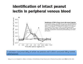 2	
  volunteers	
  consumed	
  200	
  g	
  of	
  whole	
  raw	
  peanuts	
  and	
  5	
  others	
  consumed	
  200	
  g	
  roasted,	
  
salted	
  peanuts.	
  	
  	
  	
  

  Wang,	
  Q.;	
  Yu,	
  L.-­‐G.;	
  Campbell,	
  B.	
  J.;	
  Milton,	
  J.	
  D.;	
  Rhodes,	
  J.	
  M.	
  IdenFﬁcaFon	
  of	
  Intact	
  Peanut	
  LecFn	
  in	
  Peripheral	
  Venous	
  Blood	
  	
  Lancet	
  1998,	
  352,	
  1831–1832.	
  	
  
 