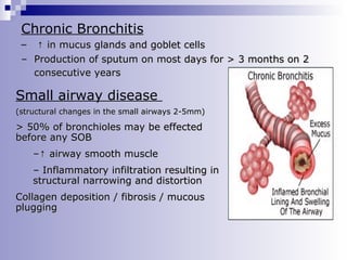 Chronic Bronchitis
↑ in mucus glands and goblet cells
– Production of sputum on most days for > 3 months on 2
consecutive years
–

Small airway disease
(structural changes in the small airways 2-5mm)

> 50% of bronchioles may be effected
before any SOB
–↑ airway smooth muscle
– Inflammatory infiltration resulting in
structural narrowing and distortion
Collagen deposition / fibrosis / mucous
plugging

 