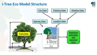 i-Tree Intro For Workshops | PDF