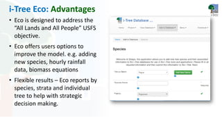 i-Tree Intro For Workshops | PDF