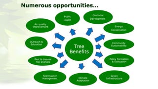 i-Tree Intro For Workshops | PDF
