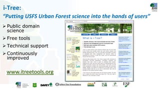 i-Tree Intro For Workshops | PDF