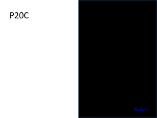 P20C Back>> 