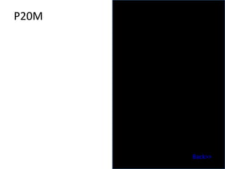 P20M Back>> 