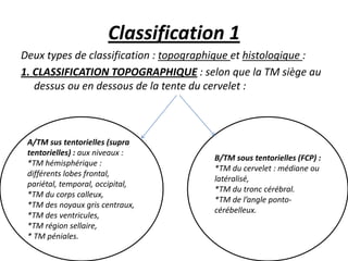 Classification 1
Deux types de classification : topographique et histologique :
1. CLASSIFICATION TOPOGRAPHIQUE : selon que la TM siège au
dessus ou en dessous de la tente du cervelet :
A/TM sus tentorielles (supra
tentorielles) : aux niveaux :
*TM hémisphérique :
différents lobes frontal,
pariétal, temporal, occipital,
*TM du corps calleux,
*TM des noyaux gris centraux,
*TM des ventricules,
*TM région sellaire,
* TM péniales.
B/TM sous tentorielles (FCP) :
*TM du cervelet : médiane ou
latéralisé,
*TM du tronc cérébral.
*TM de l’angle ponto-
cérébelleux.
 