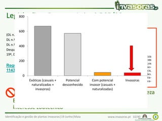 Identificação e gestão de plantas invasoras|19 Junho|Maia www.invasoras.pt 10/40
Legislação – Decreto-Lei n.º 565/99
Introdução intencional de espécies exóticas na natureza
Exceções “económicas” - agricultura, horticultura,
interesse zootécnico
(DL n.º 28039, 14-09-1937
DL n.º165/74, 22 de abril
DL n.º 205/2003, 12 de setembro
Despacho 20194/2009; nº 4, artigo
19º, DL 16/2009, 14 janeiro)
Regulamento (UE) Nº
1143/2014 de 22 Outubro 2014

0
200
400
600
800
Exóticas (casuais +
naturalizadas +
invasoras)
Potencial
desconhecido
Com potencial
invasor (casuais +
naturalizadas)
Invasoras
 