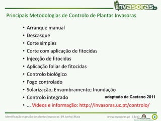 Identificação e gestão de plantas invasoras|19 Junho|Maia www.invasoras.pt 14/40
Principais Metodologias de Controlo de Plantas Invasoras
• Arranque manual
• Descasque
• Corte simples
• Corte com aplicação de fitocidas
• Injecção de fitocidas
• Aplicação foliar de fitocidas
• Controlo biológico
• Fogo controlado
• Solarização; Ensombramento; Inundação
• Controlo integrado
• ... Vídeos e informação: http://invasoras.uc.pt/controlo/
 
