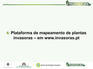 Identificação e gestão de plantas invasoras|19 Junho|Maia www.invasoras.pt 30/40
4: Plataforma de mapeamento de plantas
invasoras – em www.invasoras.pt
 