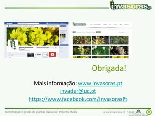 Identificação e gestão de plantas invasoras|19 Junho|Maia www.invasoras.pt 33/40
Obrigada!
Mais informação: www.invasoras.pt
invader@uc.pt
https://www.facebook.com/InvasorasPt
 