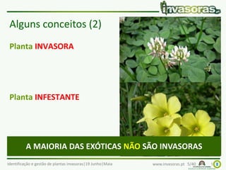 Identificação e gestão de plantas invasoras|19 Junho|Maia www.invasoras.pt 5/40
Alguns conceitos (2)
Planta INVASORA
Planta INFESTANTE
5
A MAIORIA DAS EXÓTICAS NÃO SÃO INVASORAS
 