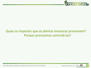 Identificação e gestão de plantas invasoras|19 Junho|Maia www.invasoras.pt 6/40
Quais os impactes que as plantas invasoras promovem?
Porque precisamos controlá-las?
 
