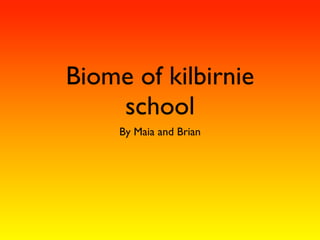 Biome of kilbirnie
    school
     By Maia and Brian
 