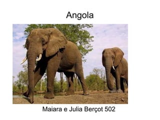 Angola
Maiara e Julia Berçot 502
 